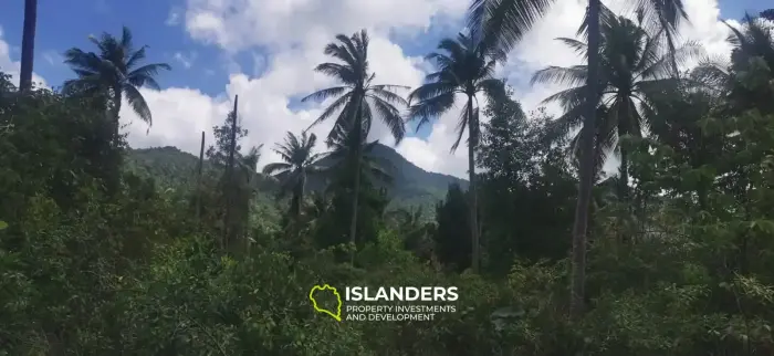 Charmant terrain de 520 m² à Coconut Lane