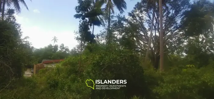 Charmant terrain de 520 m² à Coconut Lane