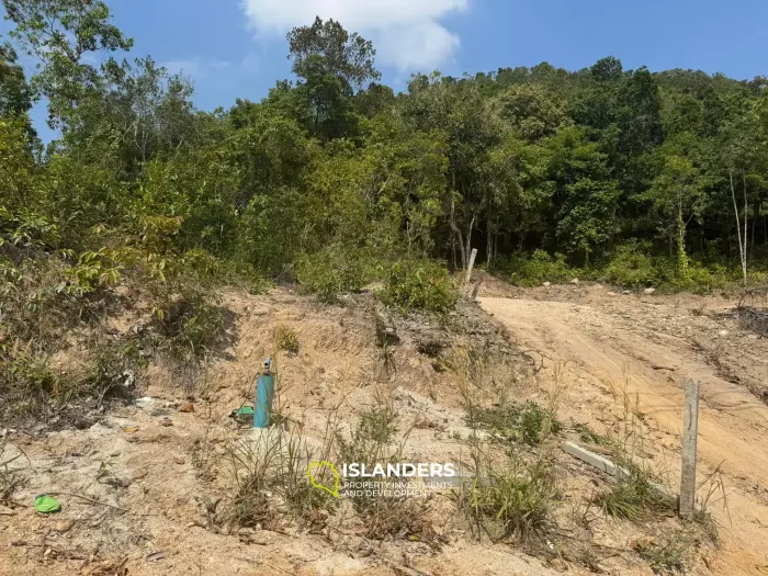 4 plots available now in Coconut Lane