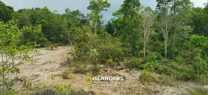 4 plots available now in Coconut Lane