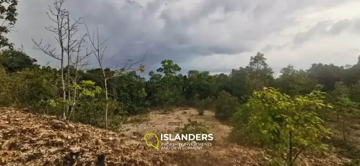 4 plots available now in Coconut Lane