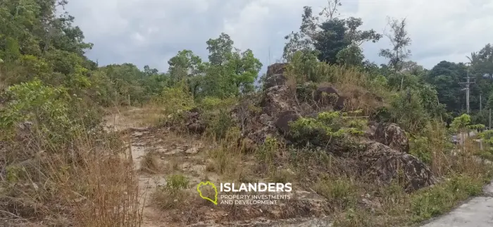 4 plots available now in Coconut Lane