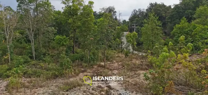 4 plots available now in Coconut Lane