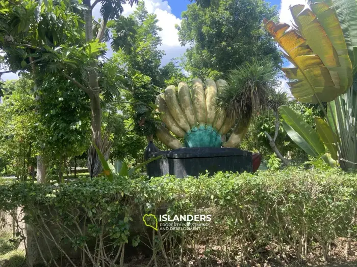 אדמה בבאלי מספר AL105 שטחה 80 דונם. זכויות חכירה ל-30 שנה.