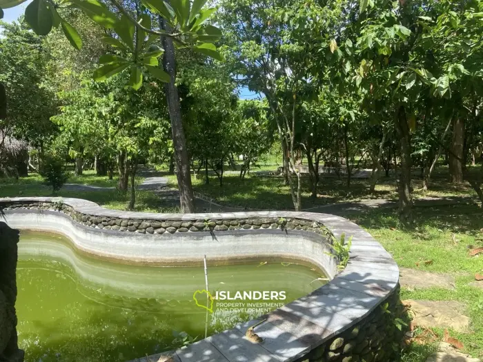 אדמה בבאלי מספר AL105 שטחה 80 דונם. זכויות חכירה ל-30 שנה.