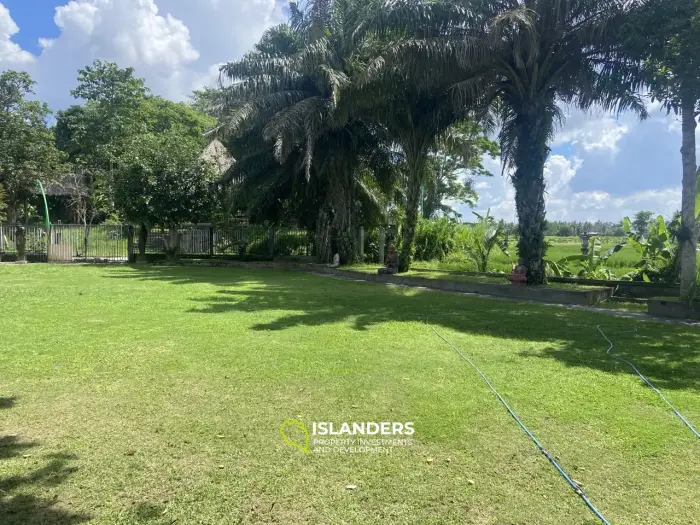 אדמה בבאלי מספר AL105 שטחה 80 דונם. זכויות חכירה ל-30 שנה. אדמה בתנאי שותפות.