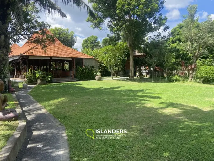 אדמה בבאלי מספר AL105 שטחה 80 דונם. זכויות חכירה ל-30 שנה. אדמה בתנאי שותפות.