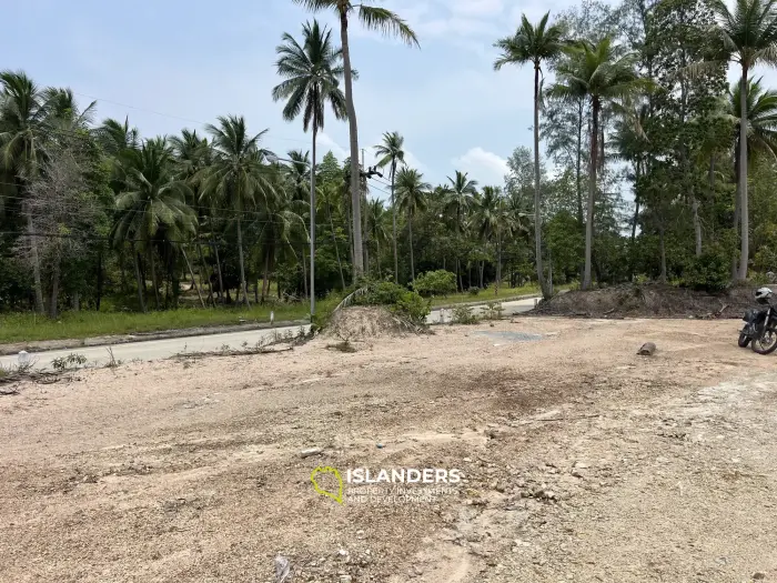 Land for Long-Term Lease – Strategic Location