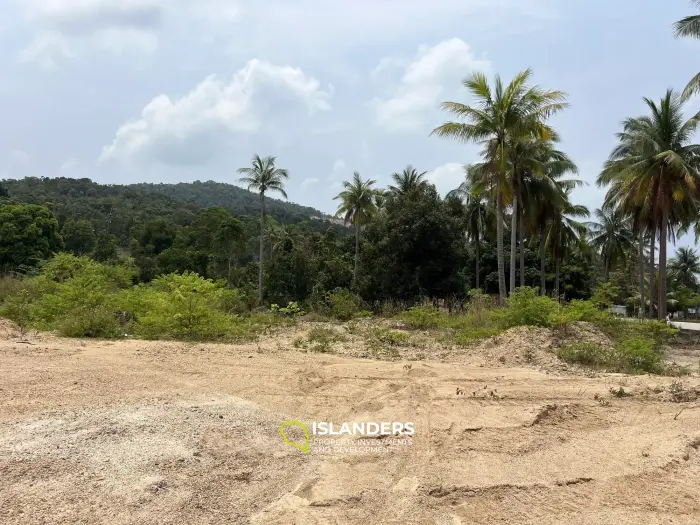 Land for Long-Term Lease – Strategic Location