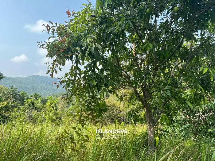 Beautiful 3,200 SqM land – Than Sadet