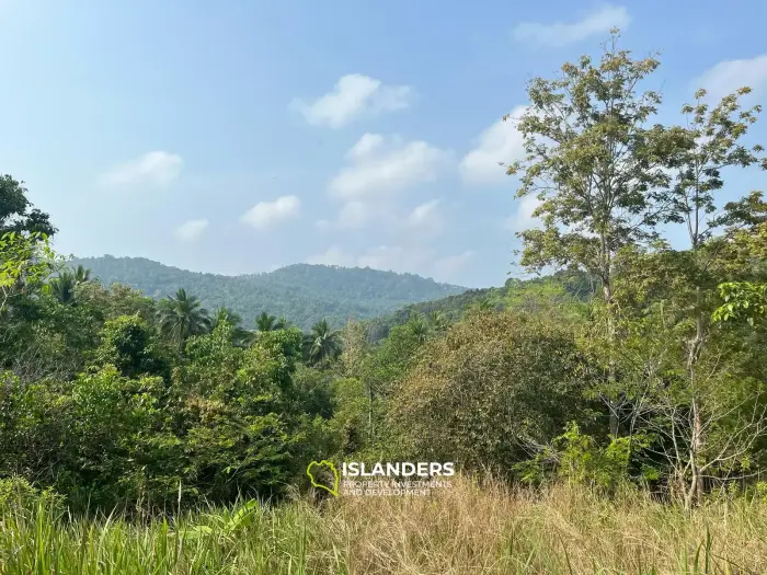 Beautiful 3,200 SqM land – Than Sadet