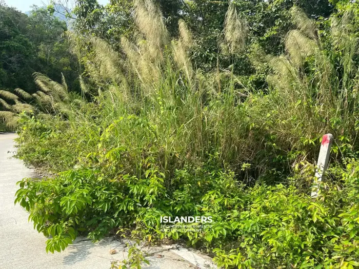 Beautiful 3,200 SqM land – Than Sadet