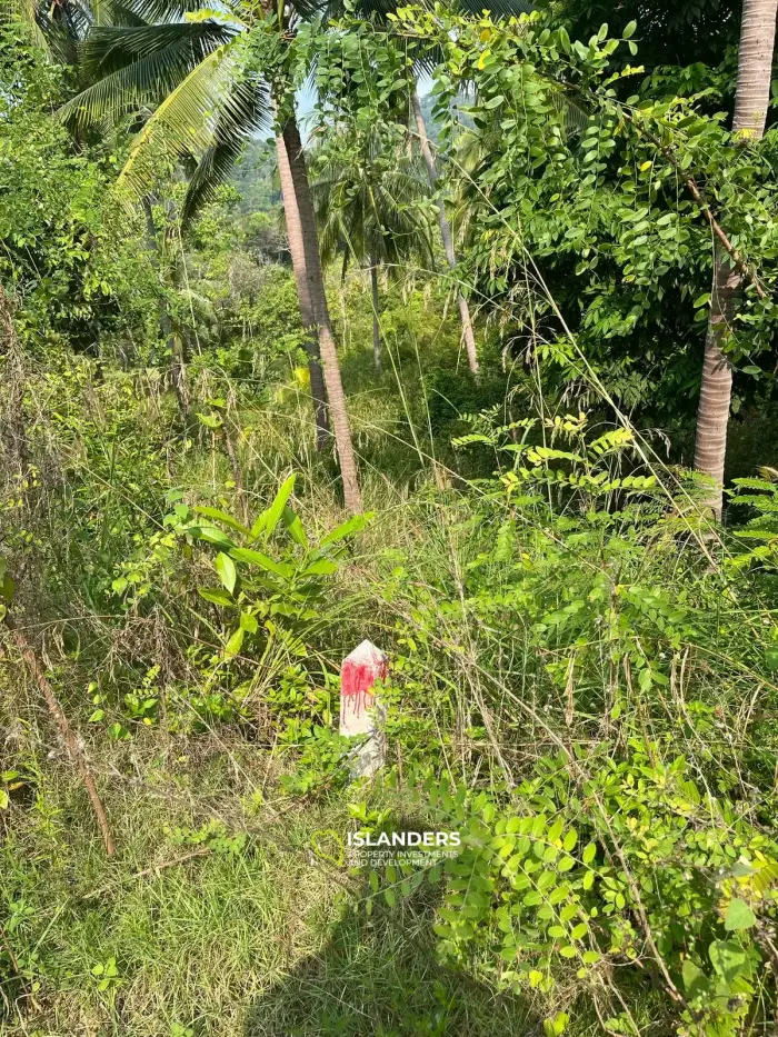 Beautiful 3,200 SqM land – Than Sadet