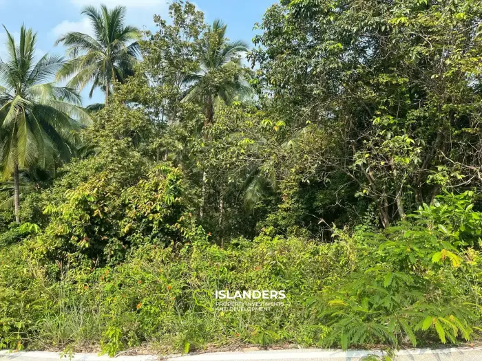 Beautiful 3,200 SqM land – Than Sadet