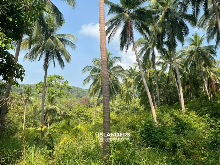 Beautiful 3,200 SqM land – Than Sadet