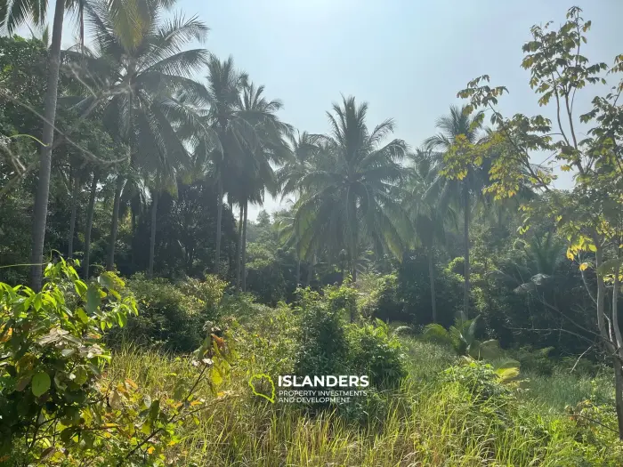 Beautiful 3,200 SqM land – Than Sadet
