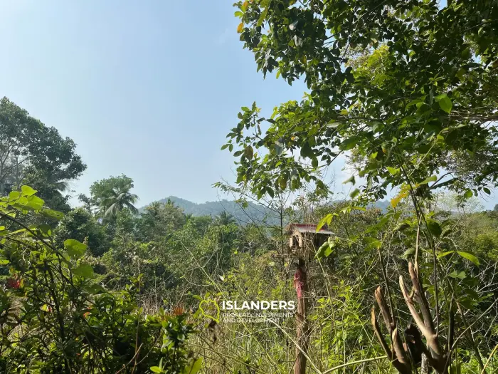 Beautiful 3,200 SqM land – Than Sadet