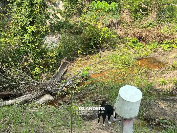 Beautiful 3,200 SqM land – Than Sadet