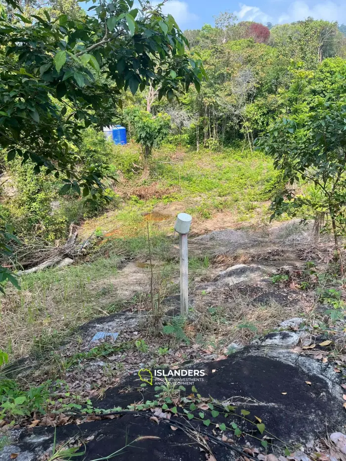 Beautiful 3,200 SqM land – Than Sadet