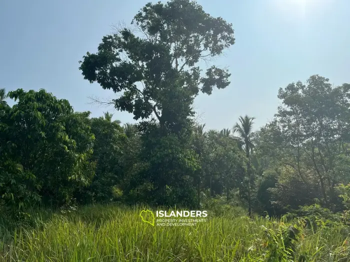 Beautiful 3,200 SqM land – Than Sadet