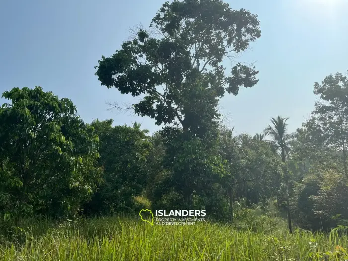 Beautiful 3,200 SqM land – Than Sadet