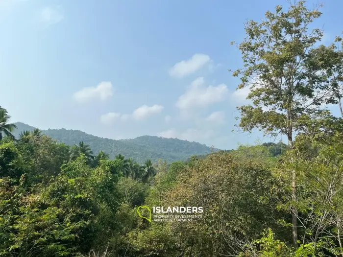 Beautiful 3,200 SqM land – Than Sadet