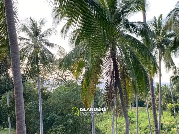 🌿 Exklusives Grundstück zu verkaufen in Chaloklum – Ein privates Paradies umgeben von Natur 🌿