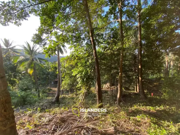 🌿 Exklusives Grundstück zu verkaufen in Chaloklum – Ein privates Paradies umgeben von Natur 🌿