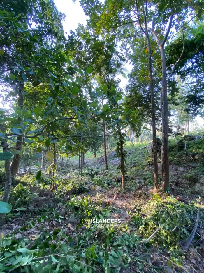 🌿 Exklusives Grundstück zu verkaufen in Chaloklum – Ein privates Paradies umgeben von Natur 🌿