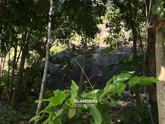 🌴 Unglaubliches Grundstück mit Meerblick zu verkaufen – Thong Lang (Chaloklum), Koh Phangan 🌊