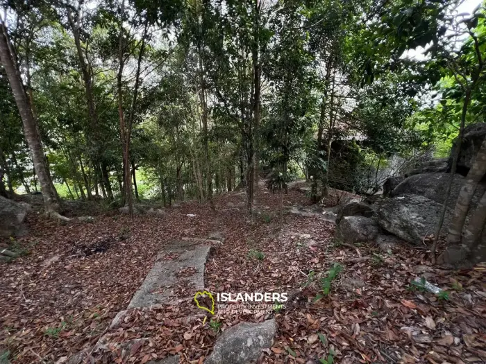 Increíble terreno en las colinas de Haad Yao, Lote C.