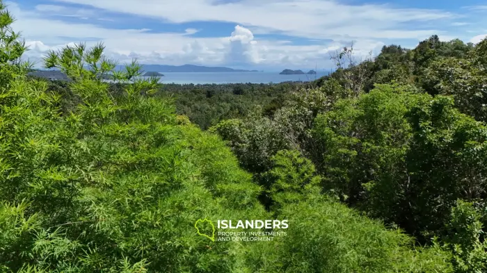 Increíble terreno en las colinas de Haad Yao, Lote C.