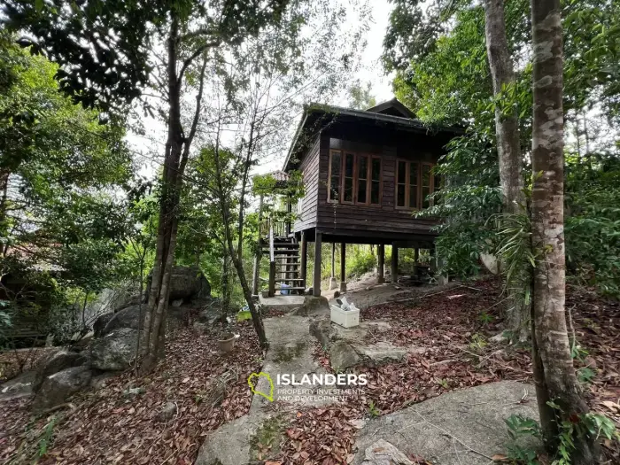 Increíble terreno en las colinas de Haad Yao, Lote C.