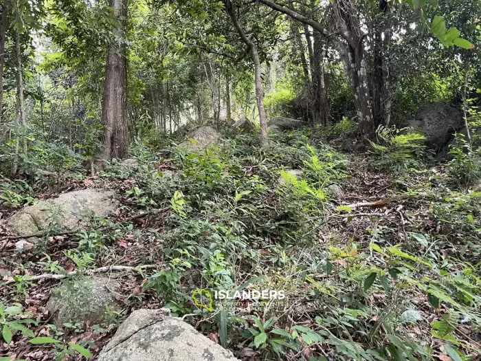 1 राय समुद्र और पहाड़ों के दृश्य के साथ