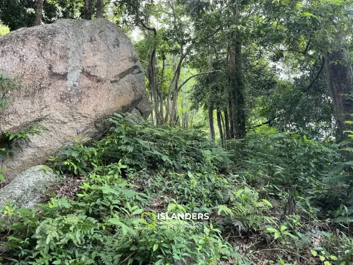 1 राय समुद्र और पहाड़ों के दृश्य के साथ