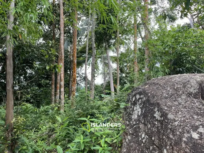 1 राय समुद्र और पहाड़ों के दृश्य के साथ