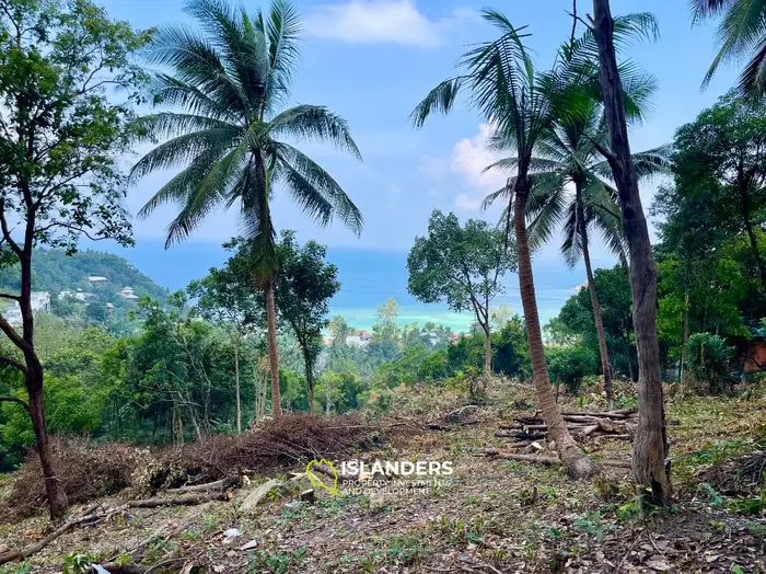 2 דונם של אדמת נוף לים במיקום מעולה