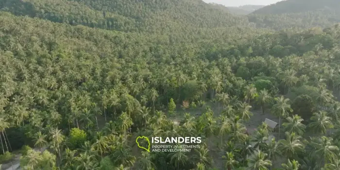 排他性投资：普赖姆9.33莱山景绿洲 - Koh Phangan