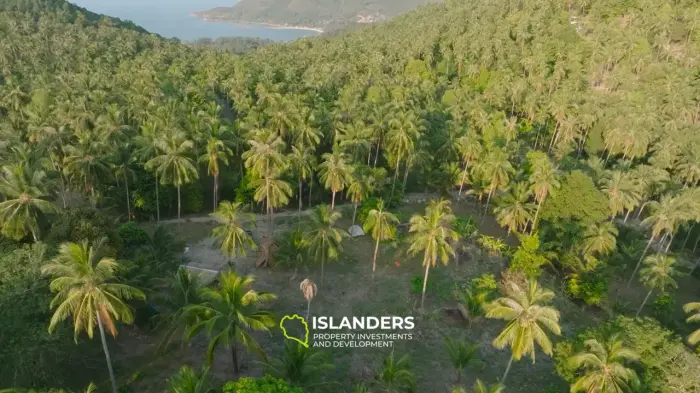 排他性投资：普赖姆9.33莱山景绿洲 - Koh Phangan