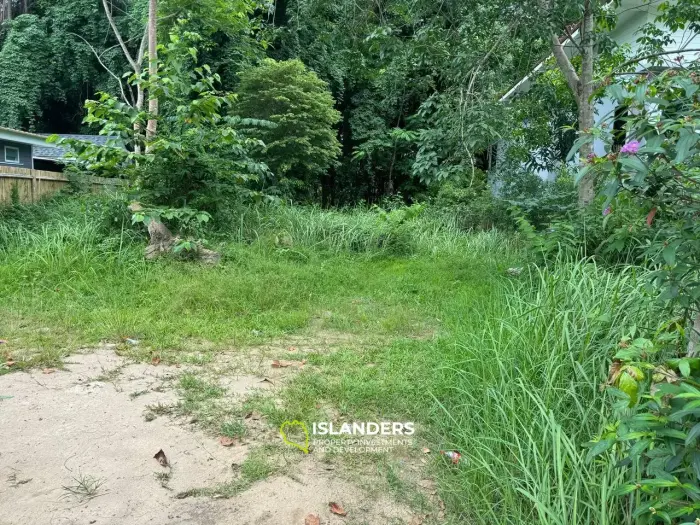 小さな平地（秘密の山）！