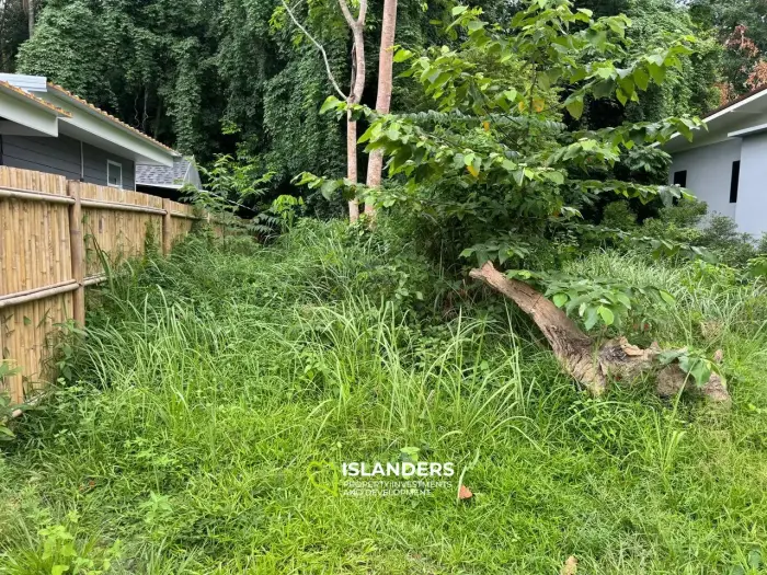小さな平地（秘密の山）！