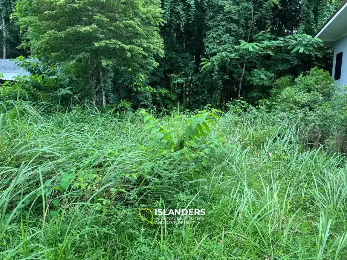 小さな平地（秘密の山）！