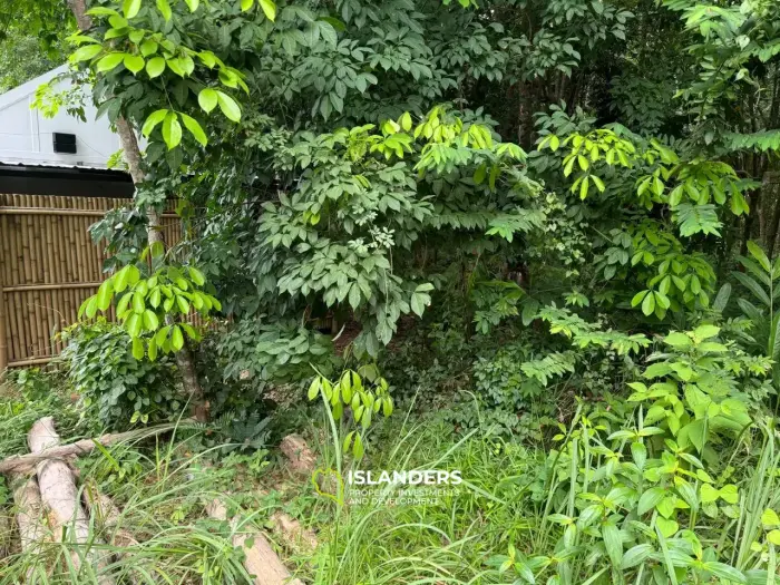 小さな平地（秘密の山）！