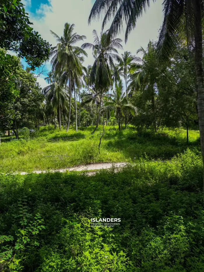 🌴 Terreno en venta – Srithanu, Koh Phangan 🌴