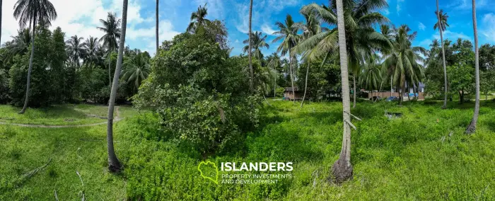 🌴 Terreno en venta – Srithanu, Koh Phangan 🌴