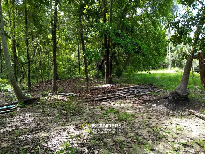 🌴 Terreno en venta – Srithanu, Koh Phangan 🌴