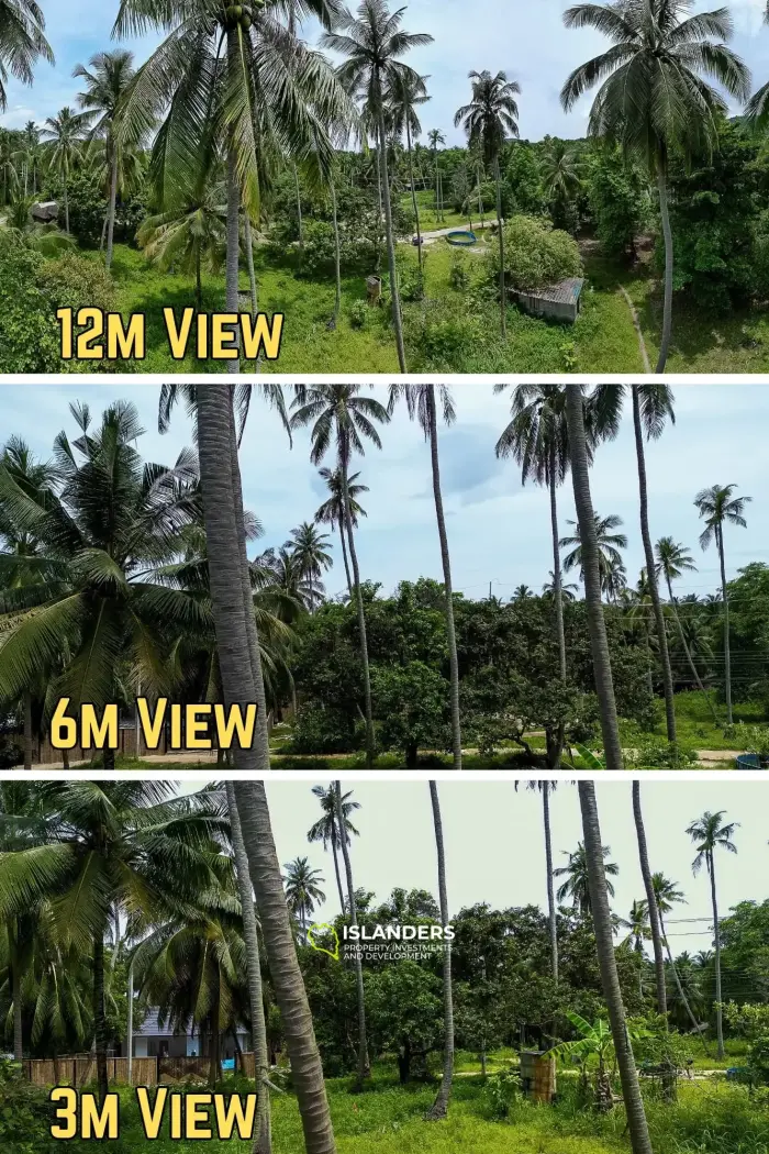 🌴 Terreno en venta – Srithanu, Koh Phangan 🌴