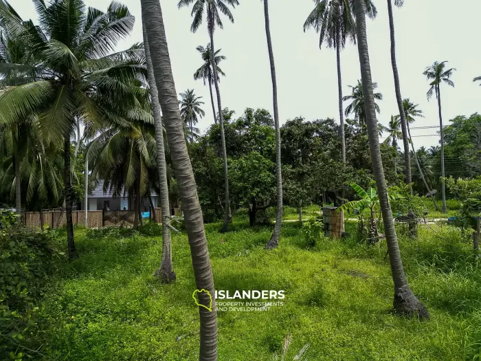 🌴 Terreno en venta – Srithanu, Koh Phangan 🌴