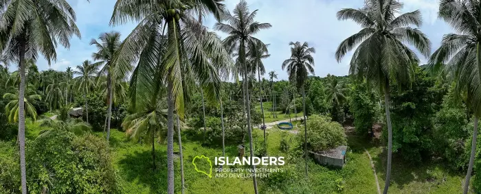 🌴 Terreno en venta – Srithanu, Koh Phangan 🌴