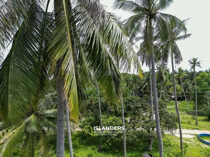 🌴 Terreno en venta – Srithanu, Koh Phangan 🌴